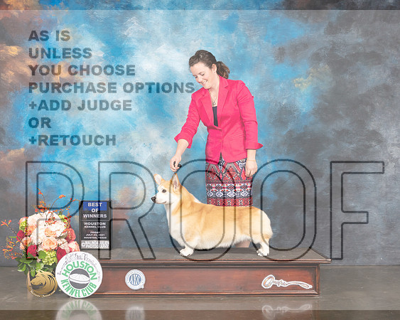 Pembroke Welsh Corgi #17 Fri WD Judge Linda Scanlon-MMJ_0761-HOUSTON21-HR3