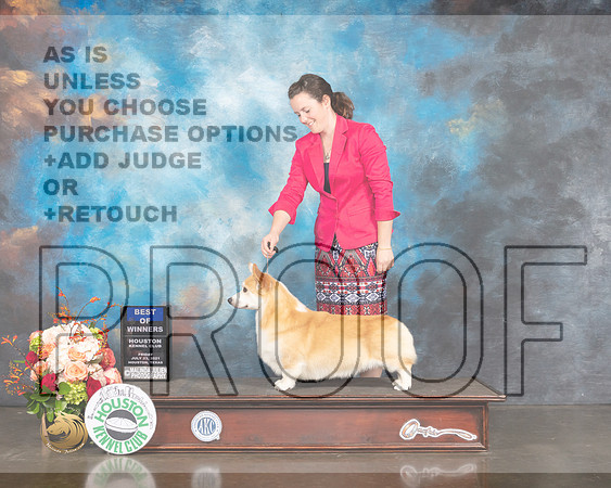 Pembroke Welsh Corgi #17 Fri WD Judge Linda Scanlon-MMJ_0765-HOUSTON21-HR3