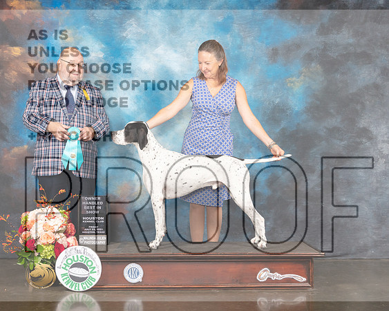 Pointer #9 OHBIS Judge Ray Filburn-MMJ_1025-HOUSTON21-HR3