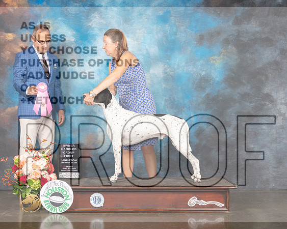 Pointer #9 OHG1 Judge David Haddock-MMJ_0767-HOUSTON21-HR3