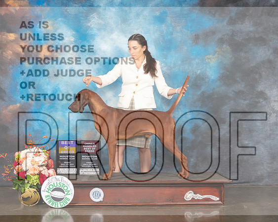 Redbone Coonhound #5 Fri BOB Judge Rosalind Kramer-MMJ_0874-HOUSTON21-HR3