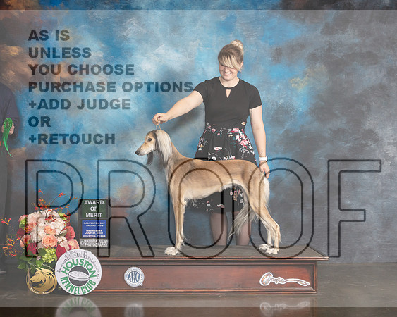 Saluki #18 Wed AOM Judge William Flynn-MMJ_0752-HOUSTON21-HR3