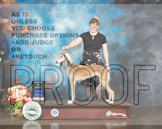 Saluki #18 Wed AOM Judge William Flynn-MMJ_0754-HOUSTON21-HR3