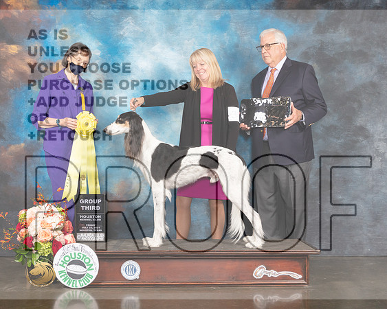 Saluki #33 Thurs G3 Judge Linda Scanlon-MMJ_0801-HOUSTON21-HR3