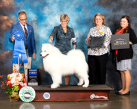 Samoyed #11 Fri G1 Judge David Haddock