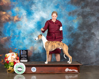 Whippet# 5 Fri WD Judge Rosalind Kramer