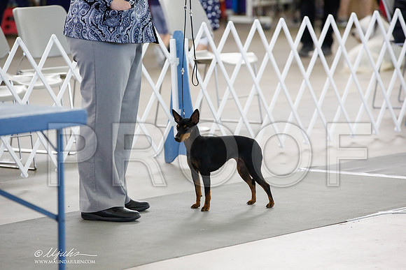 _CK_2136-DallasJul2014-HR3