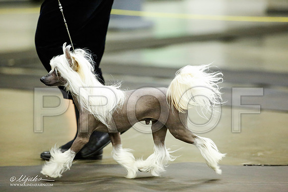 _JJ_5343-BeltonJan2015IABCA-HR3
