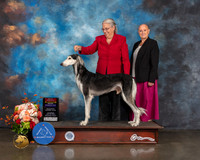 Saluki #27 Sat WD BOS NCH Major Judge Steve Keating