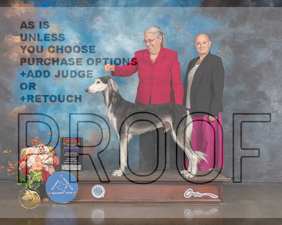 Saluki #27 Sat WD BOS NCH Major Judge Steve Keating-MMJ_0045-HOUSTON21-HR3