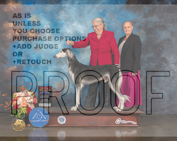 Saluki #27 Sat WD BOS NCH Major Judge Steve Keating-MMJ_0048-HOUSTON21-HR3