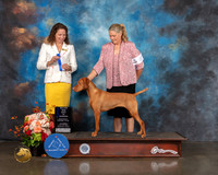 Vizsla #8 Sat WB BOW Major Judge Britt Jung