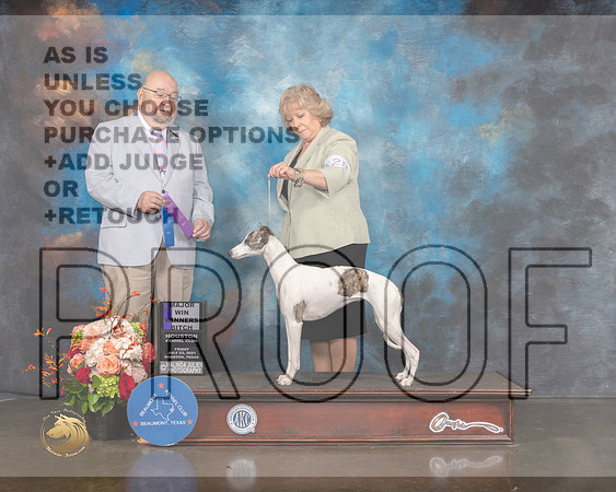 Whippet #28 Sat WB Major Judge Raymond Filburn-MMJ_0024-HOUSTON21-HR3