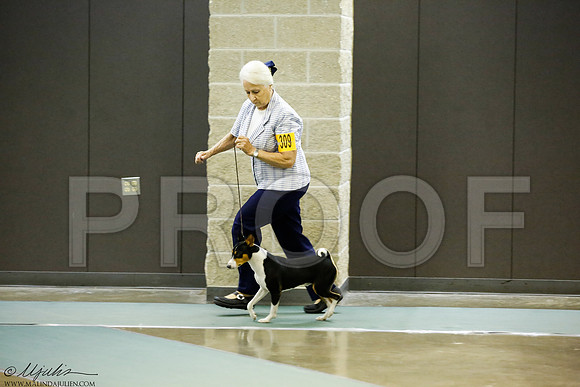 _J3L8896-BeltSep2014-HR