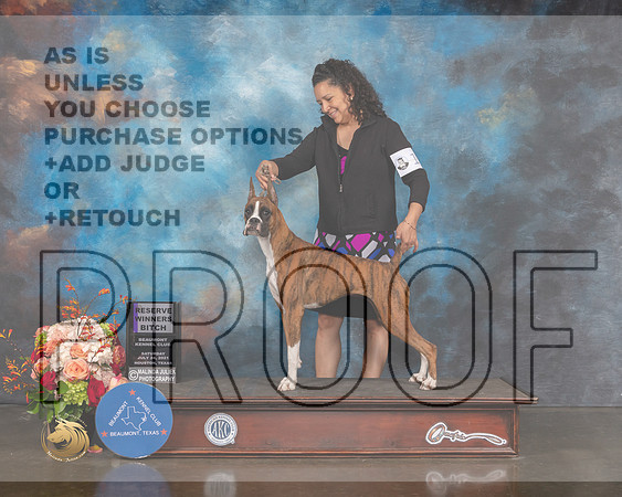Boxer #12 Sat RWB Major Judge Peggy Beisel-MMJ_0189-HOUSTON21-HR3