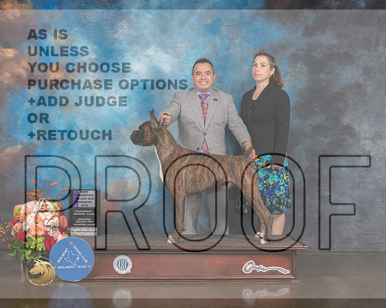 Boxer #45 Sat WD NCH Major Judge Peggy Beisel-MMJ_0181-HOUSTON21-HR3