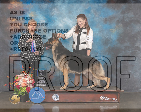 German Sherpherd Dog #11 Sat BOW Major Judge Sherry Webster-MMJ_0096-HOUSTON21-HR3