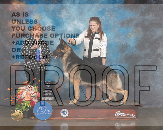 German Sherpherd Dog #11 Sat BOW Major Judge Sherry Webster-MMJ_0099-HOUSTON21-HR3
