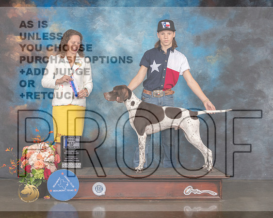 Pointer #5 Sat WD BOW Judge Britt Jung-MMJ_0087-HOUSTON21-HR3