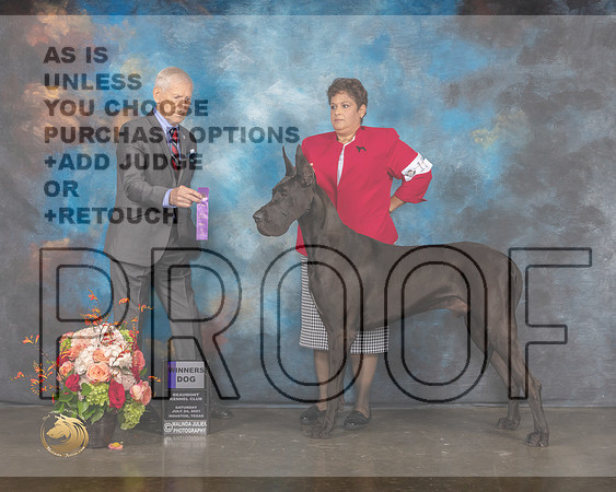 Great Dane #15 Sat WD Judge Joseph Gregory-MMJ_0120-HOUSTON21-HR3