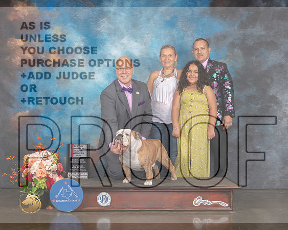 Bulldog #17 Sat BOS WD Major Judge Dennis Mccoy-MMJ_0242-HOUSTON21-HR3