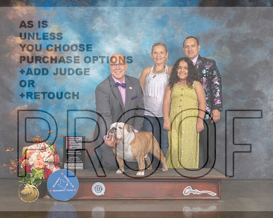Bulldog #17 Sat BOS WD Major Judge Dennis Mccoy-MMJ_0241-HOUSTON21-HR3