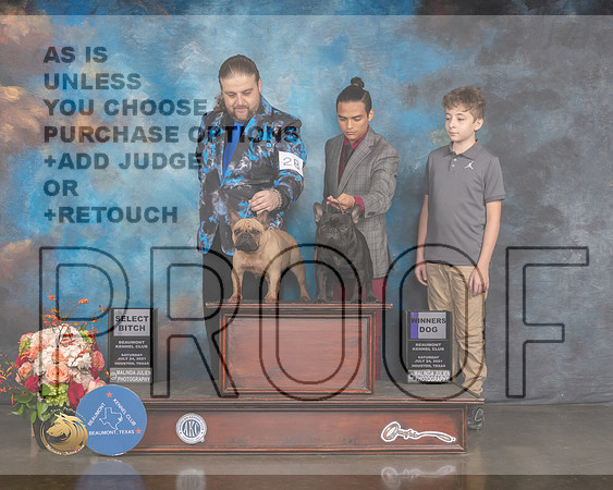 French Bulldog #19 #26 Sat WD BOW SD Judge Raymond Filburn-MMJ_0200-HOUSTON21-HR3