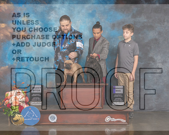 French Bulldog #19 #26 Sat WD BOW SD Judge Raymond Filburn-MMJ_0203-HOUSTON21-HR3