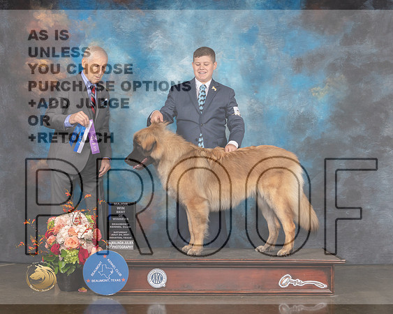 Leonberger #16 Sat BOW Judge Joe Gregory-MMJ_0249-HOUSTON21-HR3