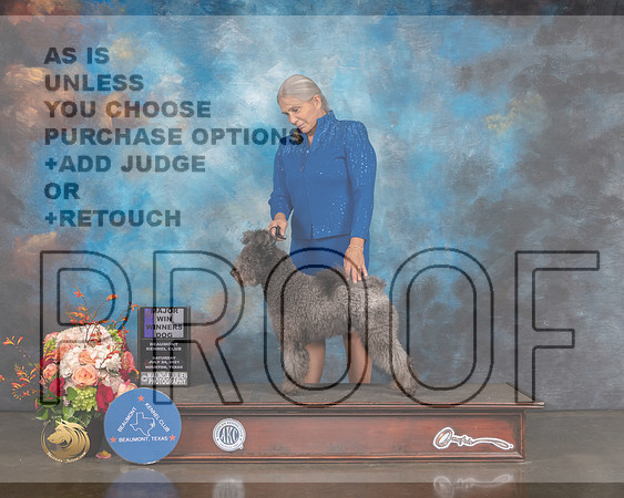 Pumik #11 Sat WD Major Judge Sherry Webster-MMJ_0232-HOUSTON21-HR3