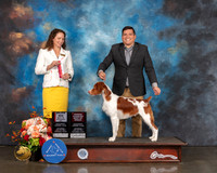 Brittany #25 Sat BOS Judge Britt Jung