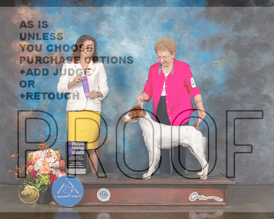 Brittany #5 Sat WD Judge Britt Jung-MMJ_0296-HOUSTON21-HR3