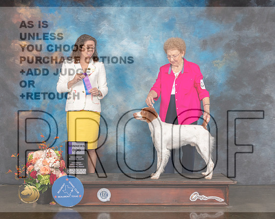 Brittany #5 Sat WD Judge Britt Jung-MMJ_0302-HOUSTON21-HR3