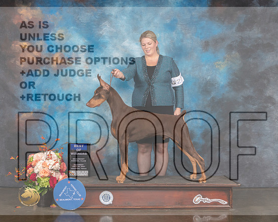 Doberman Pinscher #27 Sat BOW Judge Peggy Beisel-MMJ_0410-HOUSTON21-HR3
