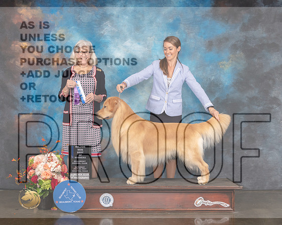 Golden #57 Sat BOW Major Judge Molly Martin-MMJ_0360-HOUSTON21-HR3