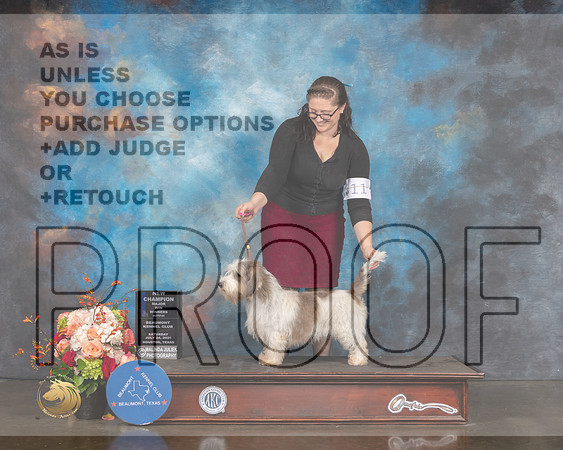 PBGV #14 Sat WB NCH Major Judge Raymond Filburn-MMJ_0320-HOUSTON21-HR3