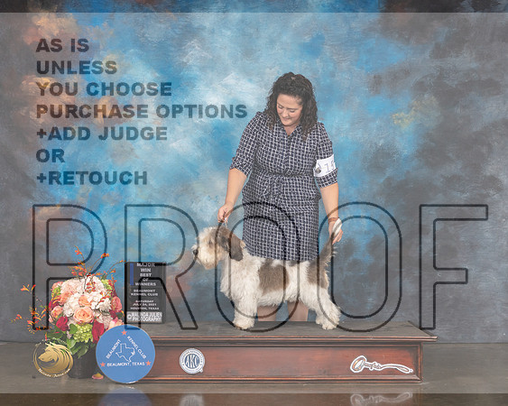 PBGV #15 Sat WB NOW Major Judge Raymond Filburn-MMJ_0325-HOUSTON21-HR3