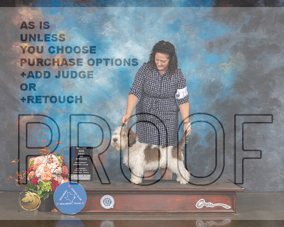 PBGV #15 Sat WB NOW Major Judge Raymond Filburn-MMJ_0326-HOUSTON21-HR3