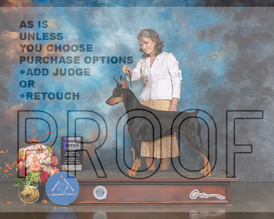 Doberman Pinscher #30 Sat WB Judge Peggy Beisel-MMJ_0428-HOUSTON21-HR3