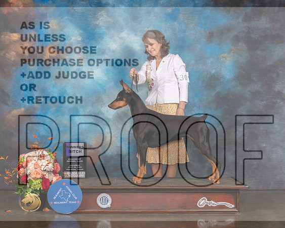 Doberman Pinscher #30 Sat WB Judge Peggy Beisel-MMJ_0427-HOUSTON21-HR3