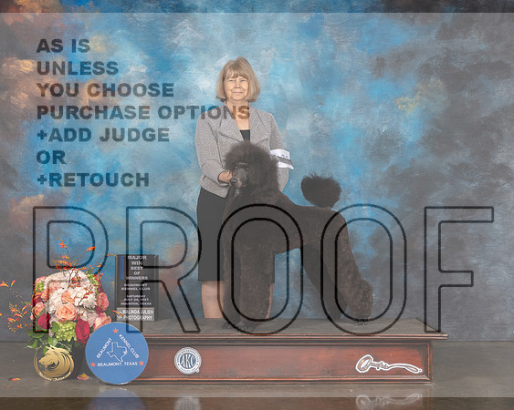 Standard Poodle #32 Sat WB BOW Judge Steve Keating-MMJ_0436-HOUSTON21-HR3