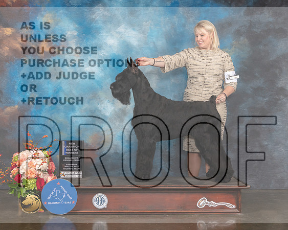 Giant Schnauzer #5 Sat WD BOW NCH Judge Joseph Gregory-MMJ_0517-HOUSTON21-HR3