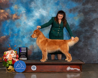 Golden #24 Sat WB Judge Molly Martin