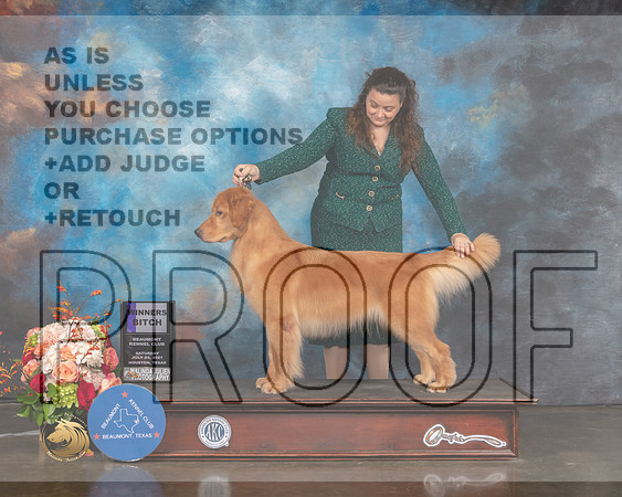 Golden #24 Sat WB Judge Molly Martin-MMJ_0539-HOUSTON21-HR3
