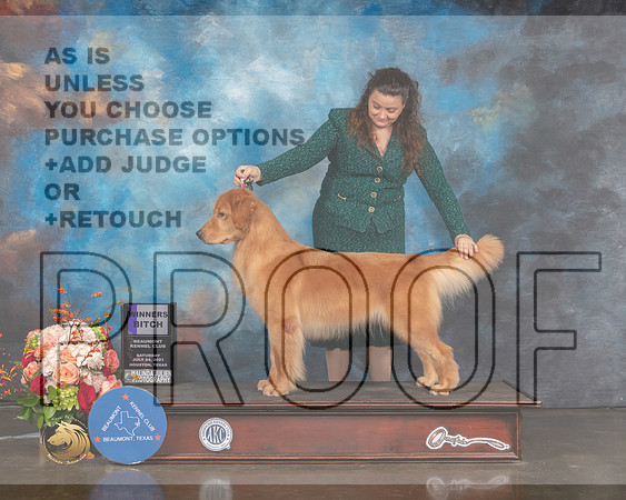 Golden #24 Sat WB Judge Molly Martin-MMJ_0541-HOUSTON21-HR3