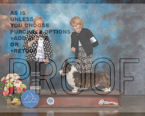 Cardigan Welsh Corgi #5 Sat G4 Judge Sherry Webster-MMJ_0720-HOUSTON21-HR3