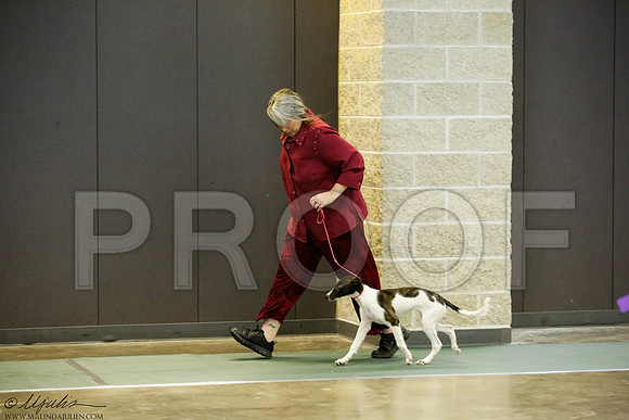 _J3L9242-BeltSep2014-HR