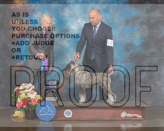 Standard Schnauzer #12 Sat WB Major Judge Joseph Gregory-MMJ_0704-HOUSTON21-HR3