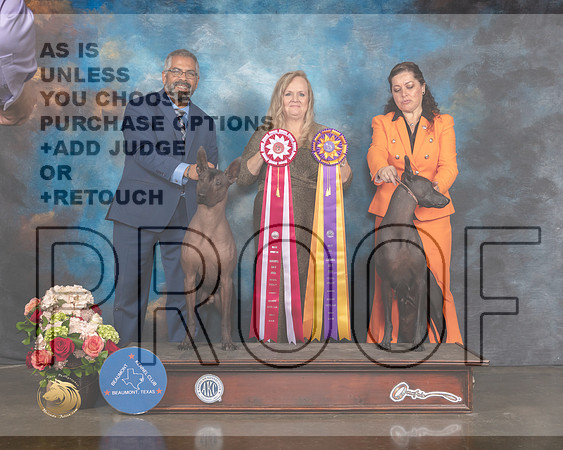 Xoloitzcuintli #9 Sat BOS Judge Teresa Campbell-MMJ_0623-HOUSTON21-HR3