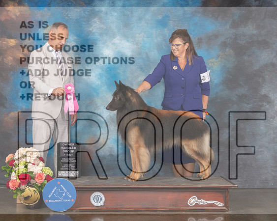 Belgian Tervuren #5 Sat OH G1 Judge David Haddock-MMJ_0780-HOUSTON21-HR3